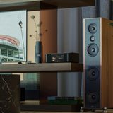 Streamer BlueSound - NODE ICON